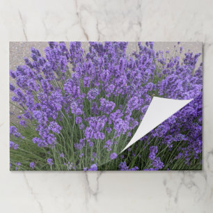 Purple Lavender Floral Paper Placemats