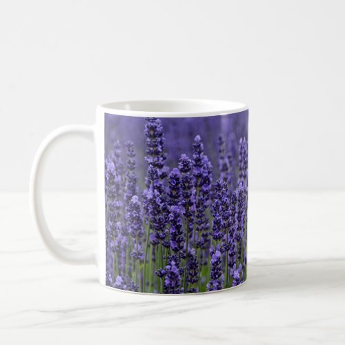 Purple lavender flowers coffee mug