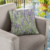 Purple Lavender Flowers Floral