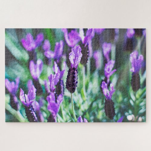 Purple lavender flowers jigsaw puzzle