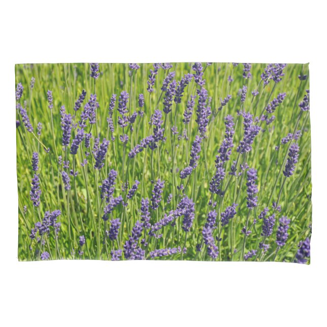 Purple lavender flowers meadow pillow case (Front)