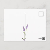 Purple lavender flowers on wood Save the Date Postcard (Back)