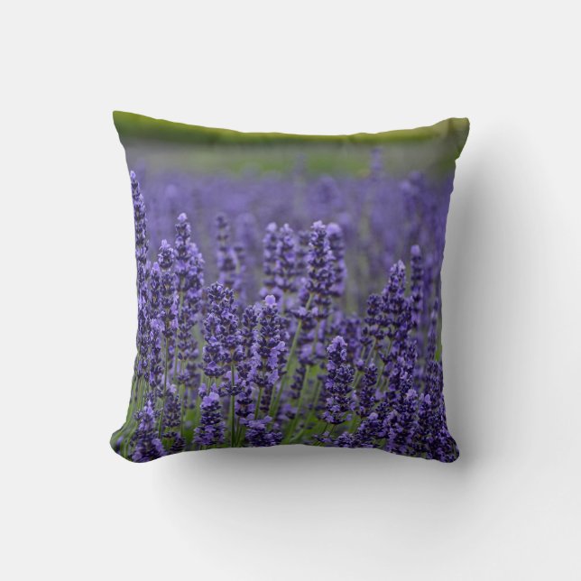 Purple lavender flowers throw pillow (Front)
