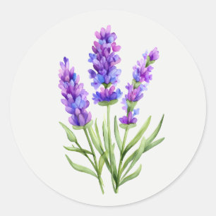 Purple Lavender Garden Flower Floral art Classic Round Sticker