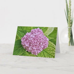 Purple Lavender Hydrangea Puff Note Card