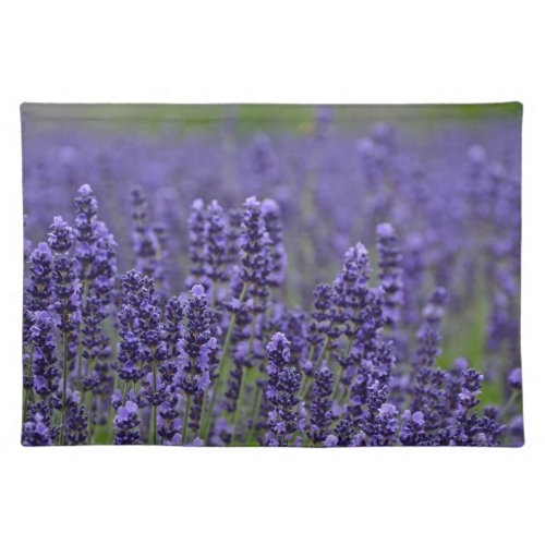 Purple lavender meadow cloth placemat