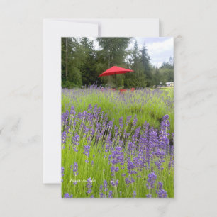 Purple Lavender , Red Umbrella Note Card