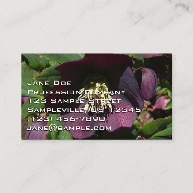Purple Lenten Rose Easter Flower Business Card (Front)