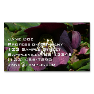 Purple Lenten Rose Easter Flower Business Card Magnet