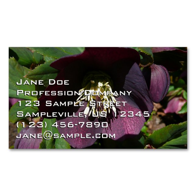 Purple Lenten Rose Easter Flower Business Card Magnet (Front)