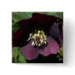 Purple Lenten Rose Easter Flower Button