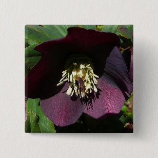 Purple Lenten Rose Easter Flower Button