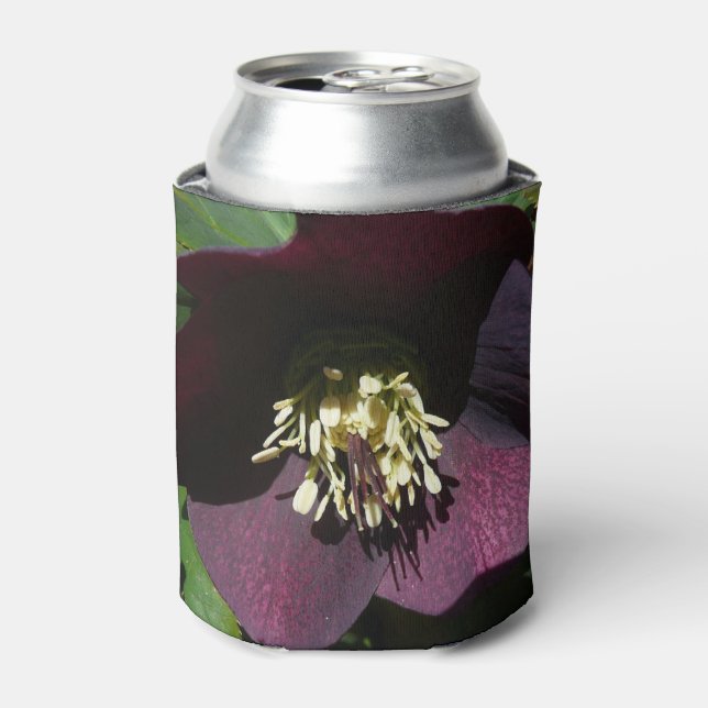Purple Lenten Rose Easter Flower Can Cooler (Can Front)