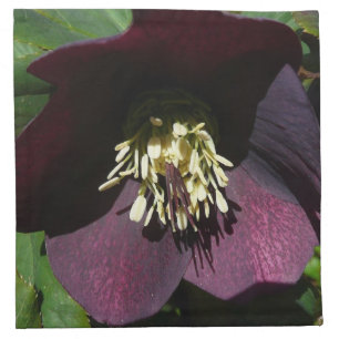 Purple Lenten Rose Easter Flower Cloth Napkin