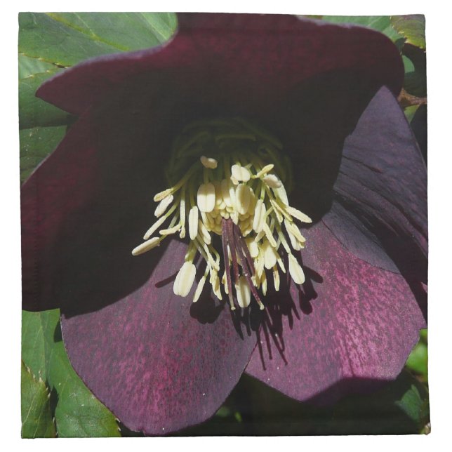 Purple Lenten Rose Easter Flower Cloth Napkin (Front)