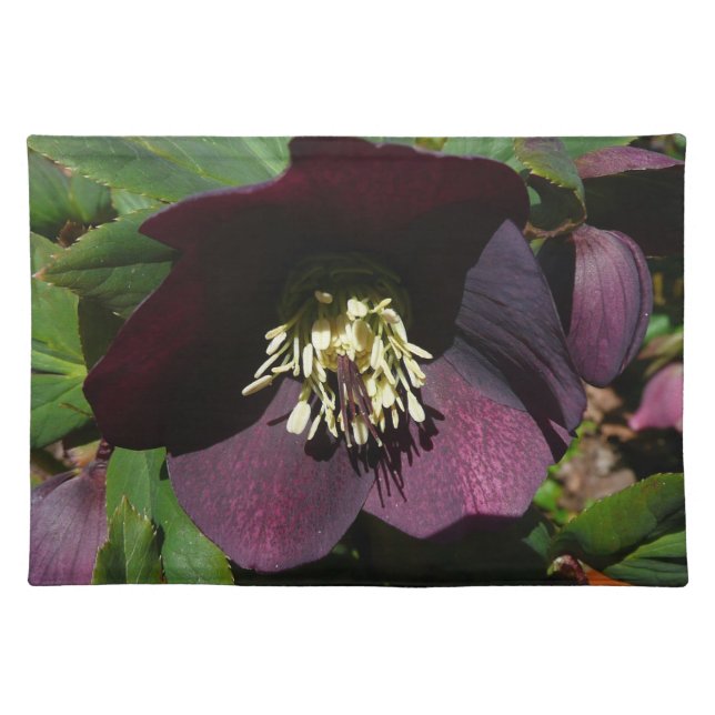 Purple Lenten Rose Easter Flower Cloth Placemat (Front)