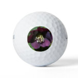 Purple Lenten Rose Easter Flower Golf Balls