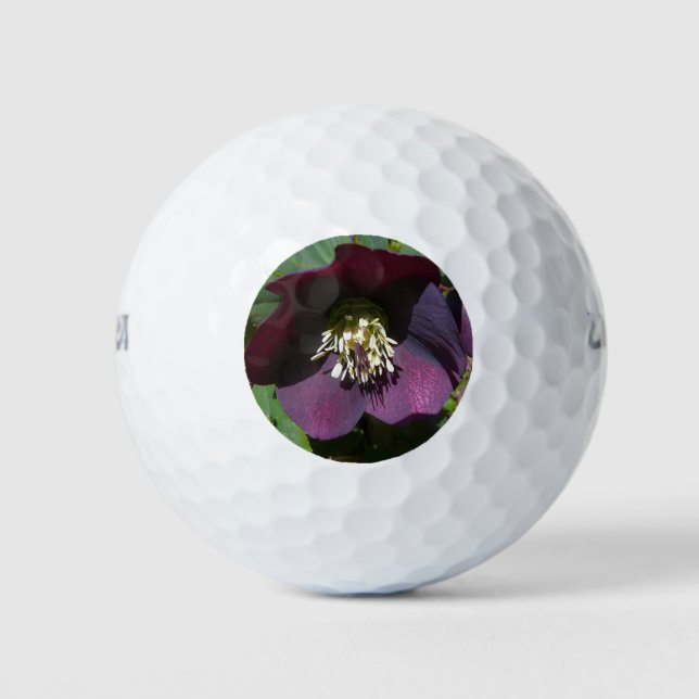 Purple Lenten Rose Easter Flower Golf Balls (Front)