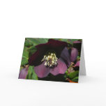 Purple Lenten Rose Easter Flower Holiday Card