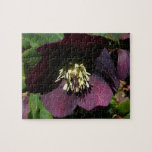 Purple Lenten Rose Easter Flower Jigsaw Puzzle<br><div class="desc">Until one spring, I wasn't aware of the "Lenten Rose" as a spring flower. Now it seems like I'm seeing them everywhere in shades of white, pink, purple and peach. This picture of a purple Lenten Rose is from Brookside Gardens in Montgomery County, Maryland. Check out our store for more...</div>