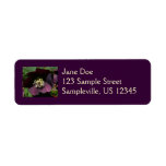 Purple Lenten Rose Easter Flower Label