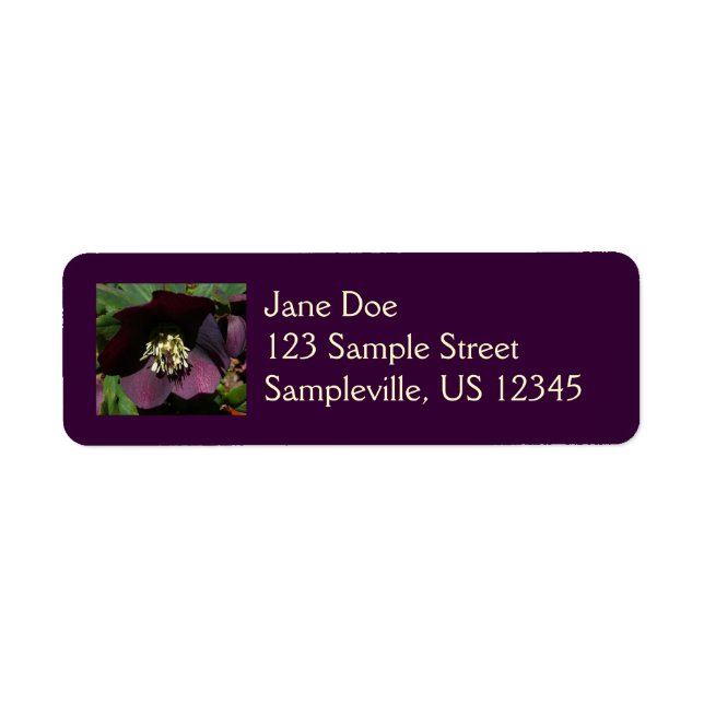 Purple Lenten Rose Easter Flower Label (Front)