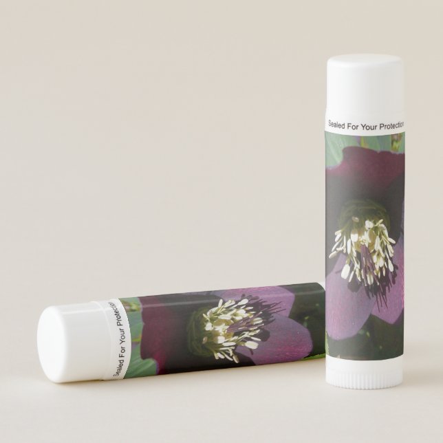 Purple Lenten Rose Easter Flower Lip Balm (Front)