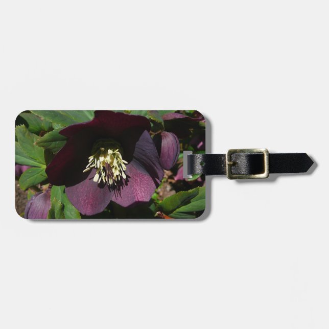 Purple Lenten Rose Easter Flower Luggage Tag (Front Horizontal)