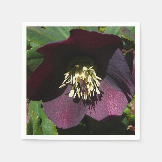 Purple Lenten Rose Easter Flower Napkins (Front)