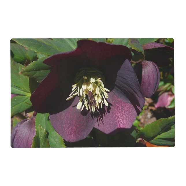 Purple Lenten Rose Easter Flower Placemat (Front)