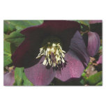 Purple Lenten Rose Easter Flower Tissue Paper