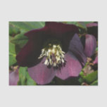 Purple Lenten Rose Easter Flower Tissue Paper