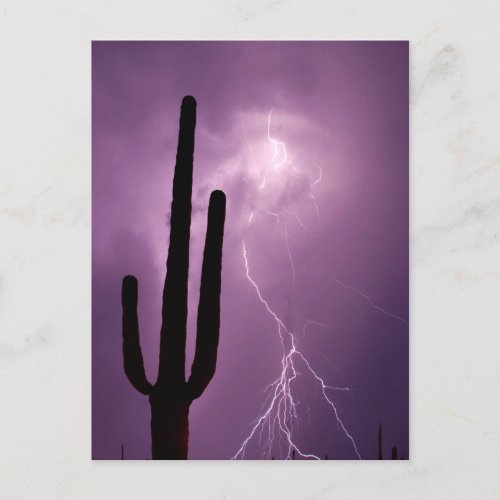 Purple lightning and cactus AZ Postcard