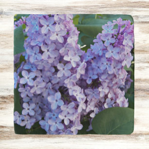 Purple Lilac Blooms Floral Trivet