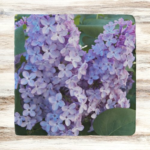 Purple Lilac Blooms Floral Trivet