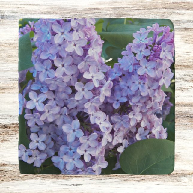 Purple Lilac Blooms Floral Trivet (In Situ)