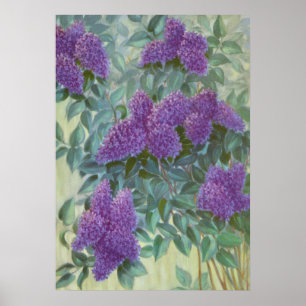 Purple Lilac by Cargill, 1937 Poster