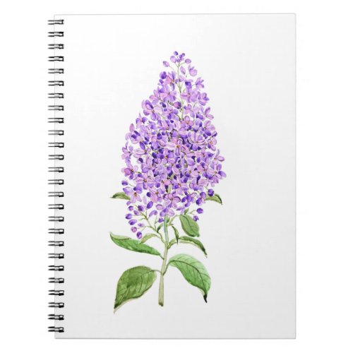 purple lilac flower watercolor notebook