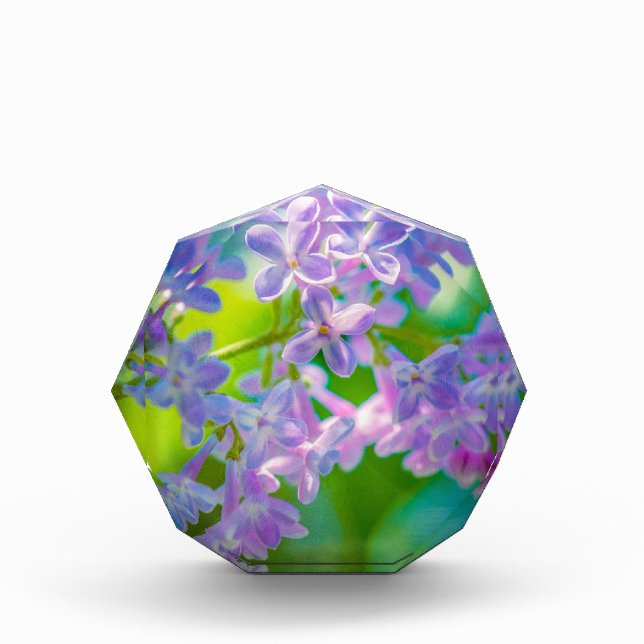 Purple Lilac Flowers Award (Front)