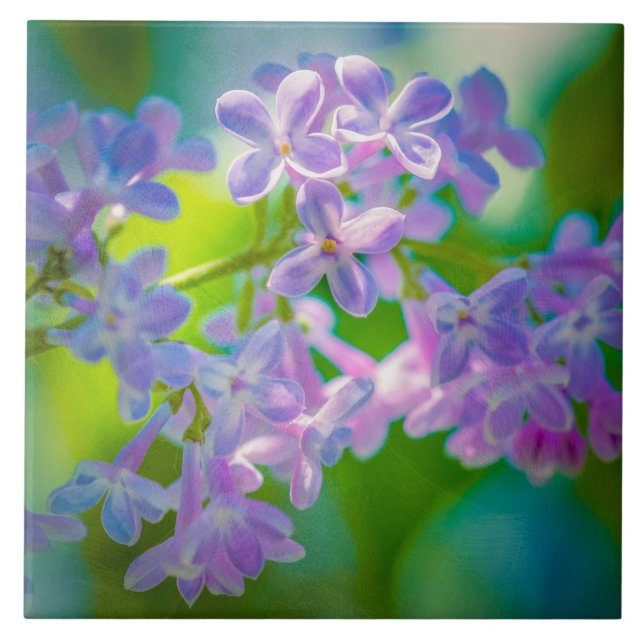 Purple Lilac Flowers Ceramic Tile (Front)