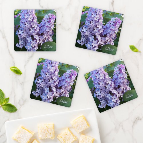 Purple Lilac Flowers Floral Coaster Set