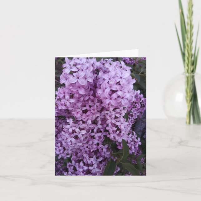 Purple Lilac Flowers Photograph Card (Front)
