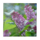 Purple Lilac Flowers Tile