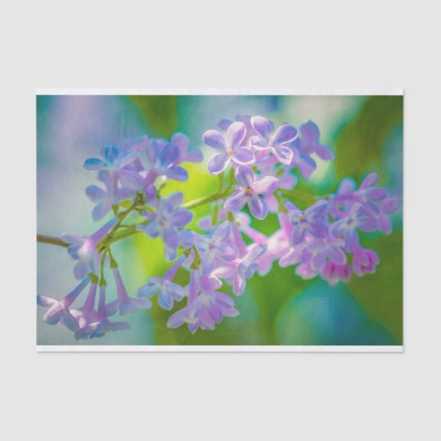 Purple Lilac Flowers Tissue Paper (Front)