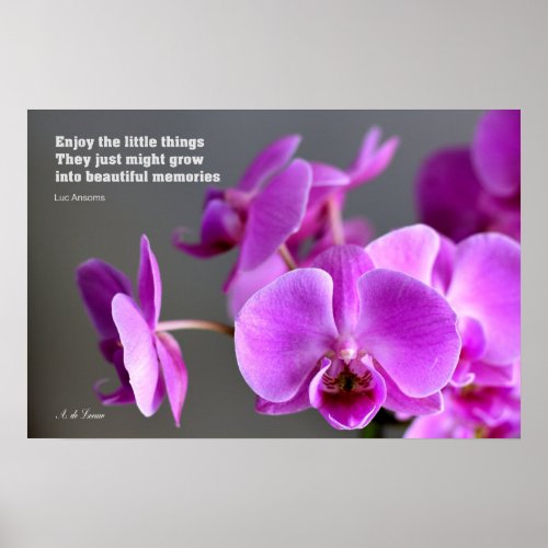 Purple lilac mauve orchid inspirational quote poster