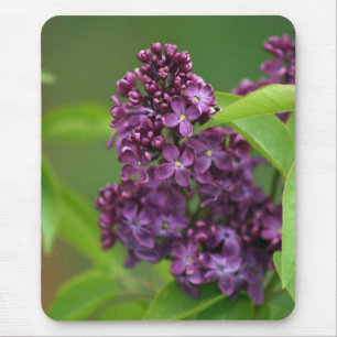 Purple Lilac Mousepad
