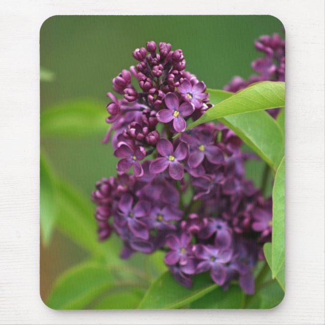 Purple Lilac Mousepad (Front)