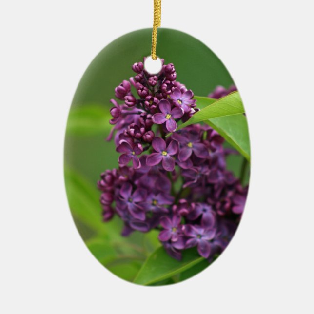 Purple Lilac Ornament (Front)