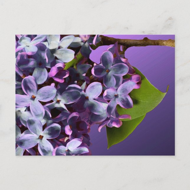 Purple Lilac Photo Wedding Save The Dates Announcement Postcard (Front)