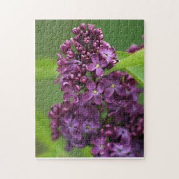 Purple Lilac Puzzle by lynnsphotos at Zazzle
